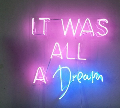 New It was all a dream Handmade Art Neon Signs 