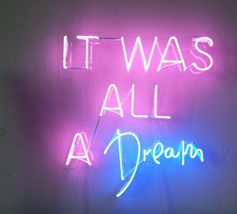 New It was all a dream Handmade Art Neon Signs