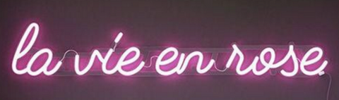 la vie en rose neon sign