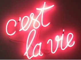 Cest la vie neon sign 