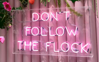 Don't Follow the Flock neon sign 