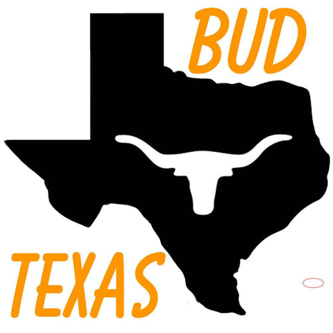 Bud Texas Map Longhorn Neon Beer Sign 