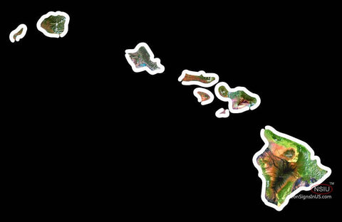 Custom Hawaiian Islands Neon Sign  