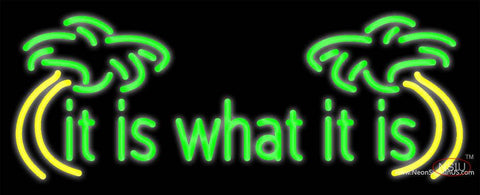 Custom It Is What It Is Real Neon Glass Tube Neon Sign 