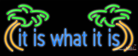 Custom It Is What It Is Real Neon Glass Tube Neon Sign 