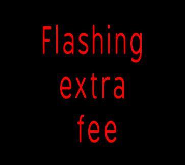 Flashing extra payment link 